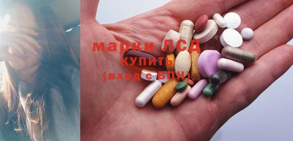 прущие грибы Магас