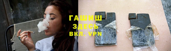 прущие грибы Магас