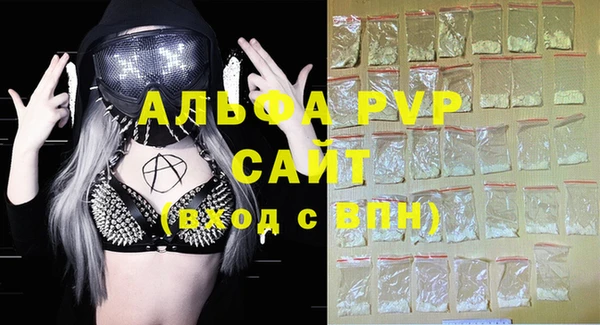 прущие грибы Магас