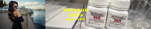 прущие грибы Магас