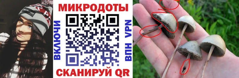 где купить наркоту  Назрань  Псилоцибиновые грибы мухоморы 